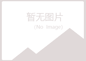 城子河区夏岚服务有限公司